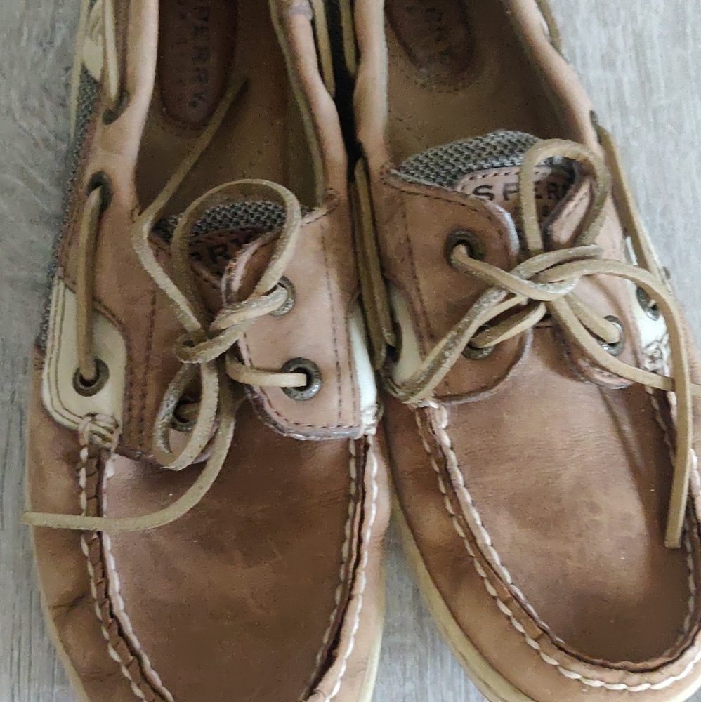 Sperry